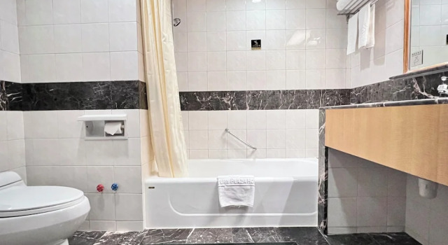 Номер Superior Century Plaza Hotel