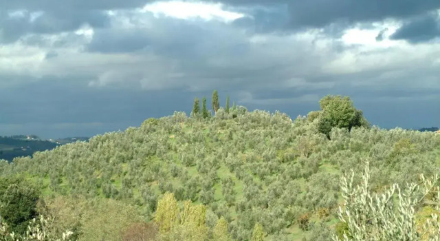 Люкс Il Borghetto Country Inn