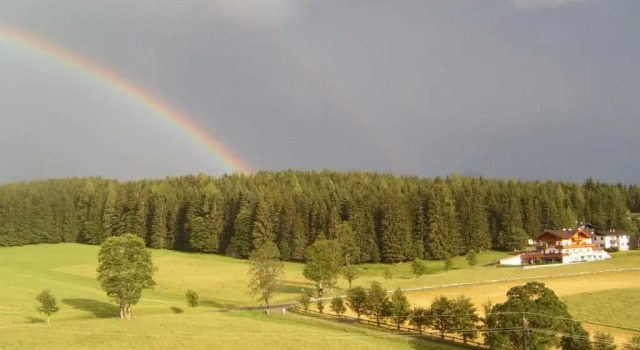 Номер Standard Pension Felsenheim