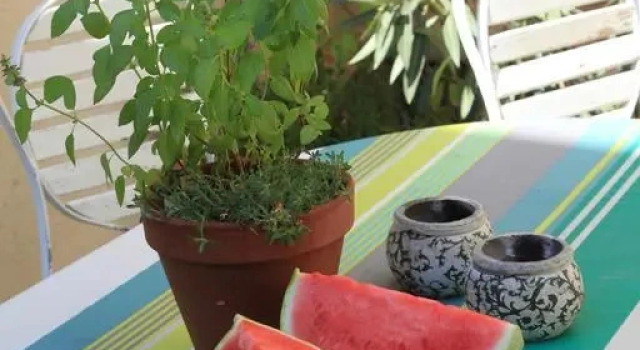 Appartements Des Jardins