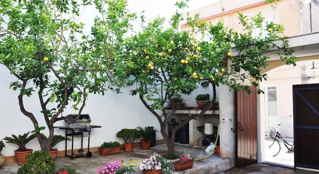 I tre Golfi Captain Cooper, Book Hotel Hotels in Sicily with Parking, Parking