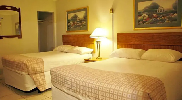 Четырёхместный номер Standard Tulip Motel