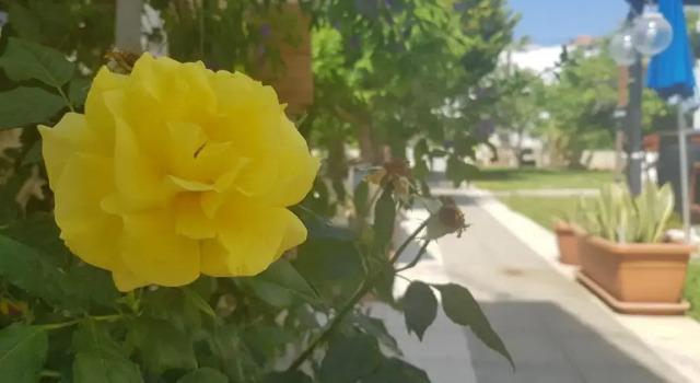 Апартаменты 2 bedroom ground floor apt, 5 minutes walk from the beach