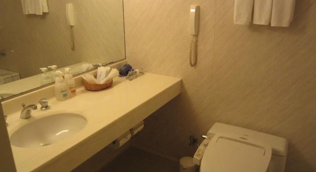 Трёхместный номер Standard Rembrandt Hotel Ebina