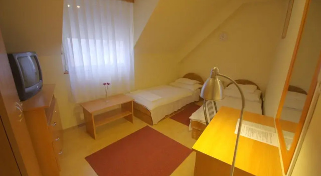 Одноместный номер Standard Hotel Vadászkürt Superior
