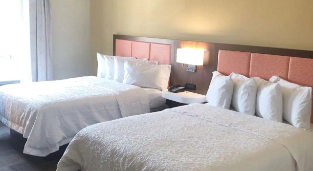 Номер Standard Hampton Inn & Suites Norfolk-Airport