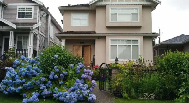 Helens House / Close to Skytrain and Airport, Réserver Hôtel Hôtels pas chers à Colombie-Britannique