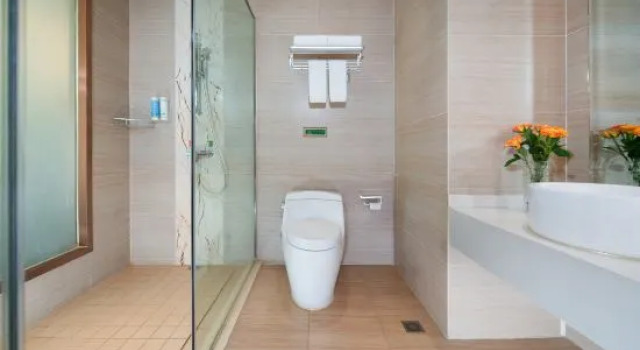 Одноместный люкс Deluxe Vienna 3 Best Hotel (Ziyang High-Speed North Station Baotai Subway Station)