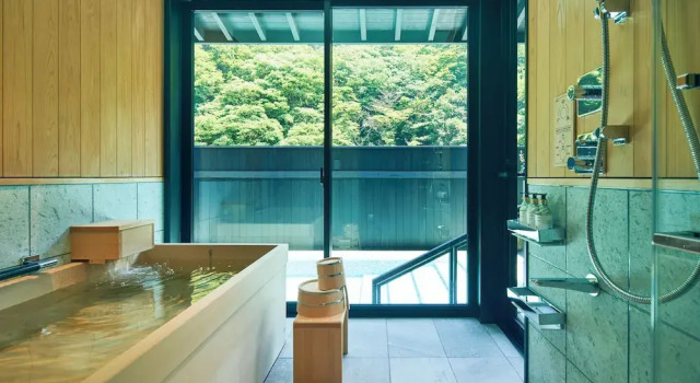 Номер Standard ESPACIO The Hakone Geihinkan Rin-Poh-Ki-Ryu