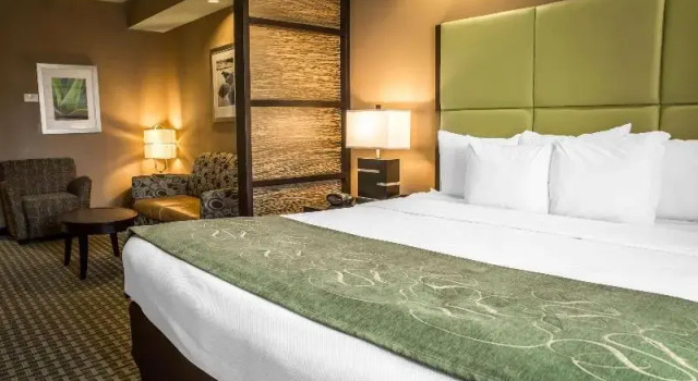 Номер Standard Comfort Suites New Bern near Cherry Point