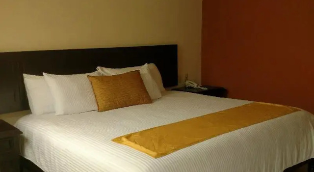 Одноместный номер Standard с балконом Hotel Jardines Del Carmen