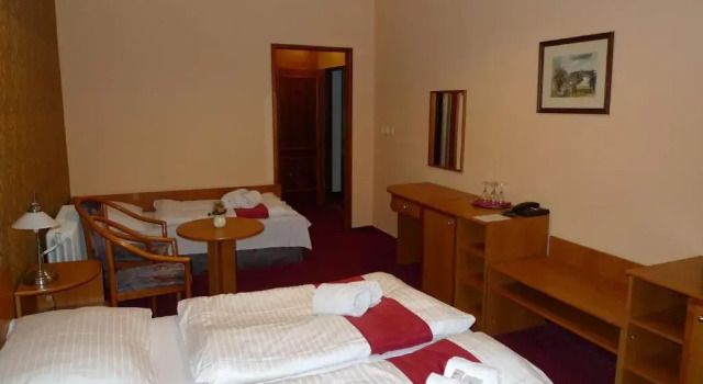 Трёхместный номер Standard с видом на город Hotel U Černého orla