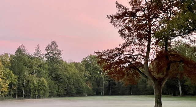 Четырёхместный люкс Luxury Les Hayes en Sologne - Proche Chambord