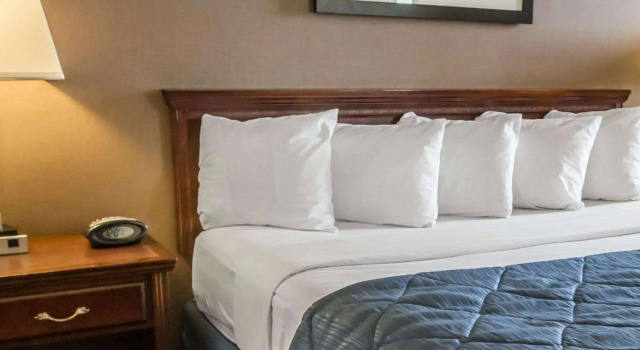 Двухместный номер Quality Inn Schaumburg - Chicago near the Mall