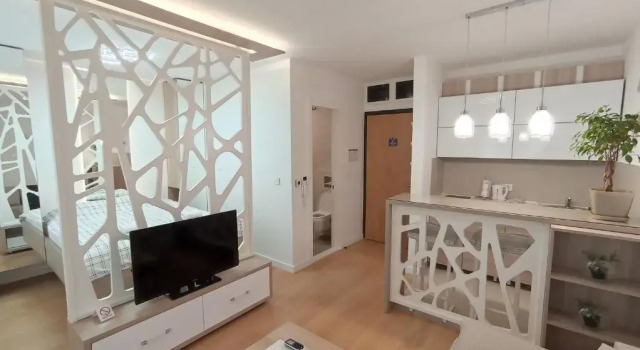 Апартаменты c 1 комнатой Galija apartment