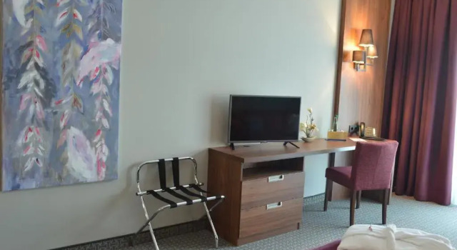 Номер Standard Sante Royale Hotel- & Gesundheitsresort Bad Langensalza