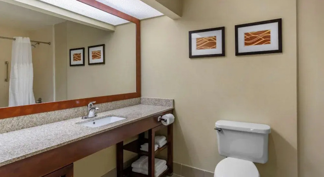 Двухместный номер Standard Comfort Suites Goodlettsville Rivergate