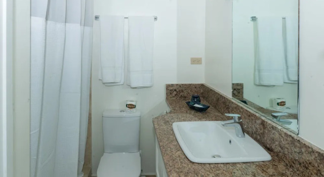 Полулюкс Rostrevor Hotel