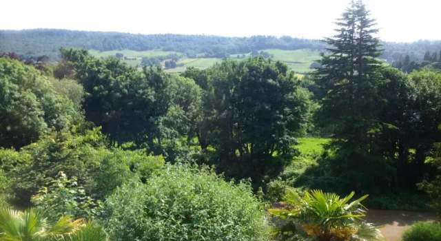 Номер Superior Harefield Hall Hotel