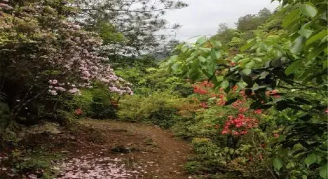 Longdong Lake Resort, Rezerwuj Ośrodek wypoczynkowy Shangrao Jiangxi