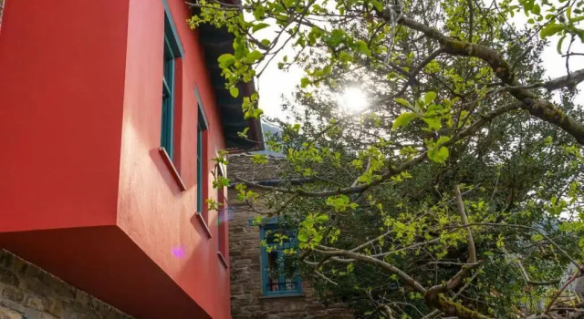 Номер Standard Shamrock Elati Retreats