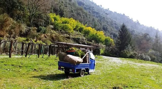 Agricamping Ponteraggio n.1, Prenota Campeggio Hotel economici a Dolceacqua