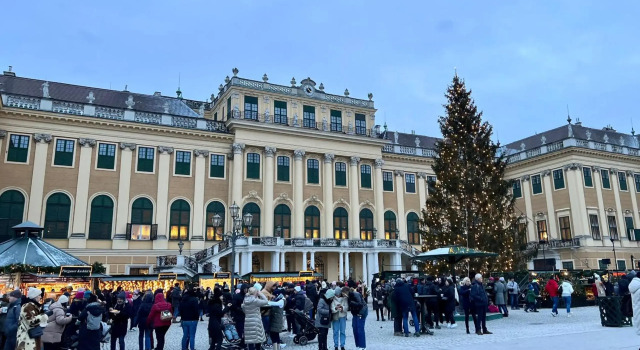 Beautiful 1 bedroom apartment near Schönbrunn palace, Prenota Appartamento Vienna Austria