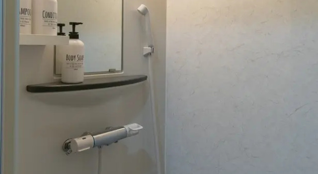 Одноместный номер Standard HOSTEL MICHIKUSA-YA