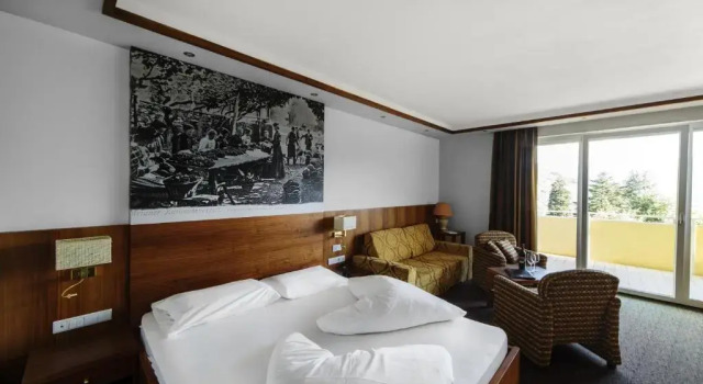 Полулюкс Hotel Anatol