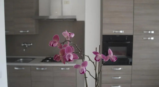 Residence Paradise, Buchen Sie Hotel Peschici Foresta Umbra
