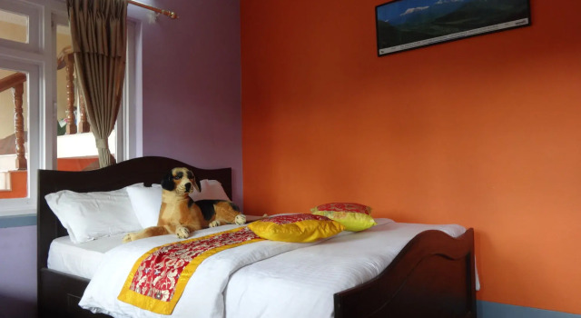 Blue Mountain Home Stay, Забронировать Гостевой дом Гостевые дома Катманду, рядом с Narayanhiti Palace Museum, Гостевой дом