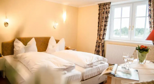 Двухместный номер Standard Hotel Waldsee