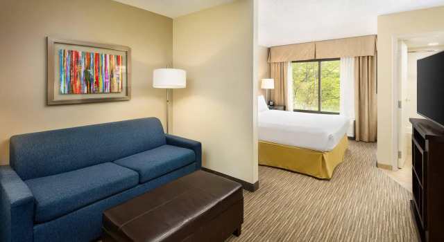 Номер Standard Holiday Inn Express & Suites Alpharetta by IHG