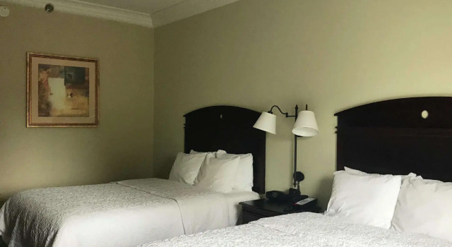 Четырёхместный номер Standard Hampton Inn Vidalia