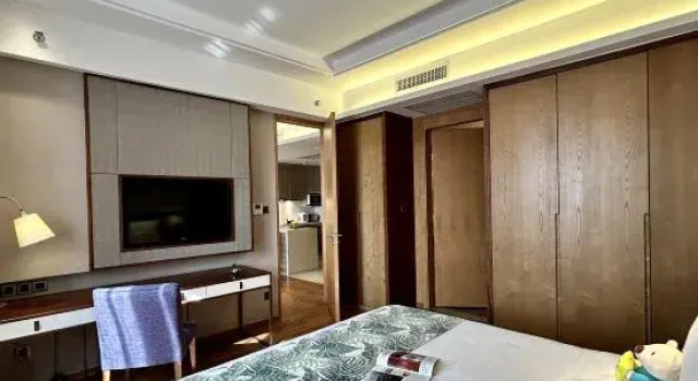 Люкс Executive Somerset Wusheng Wuhan