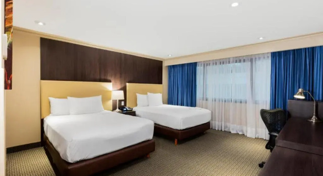 Двухместный номер Deluxe Hilton Mexico City Airport