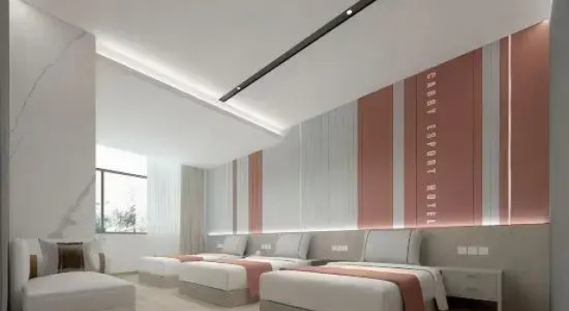 Люкс Carry E-Sports Hotel