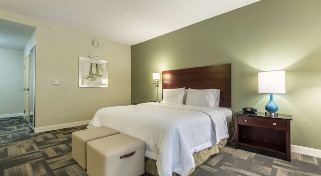 Двухместный номер Accessible Hampton Inn & Suites Orlando-South Lake Buena Vista