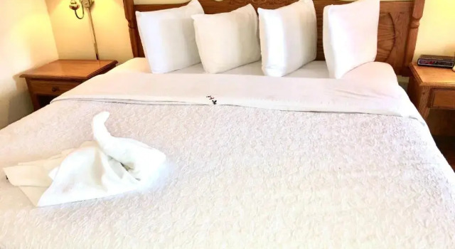 Номер Economy Honeysuckle Inn & Conference Center