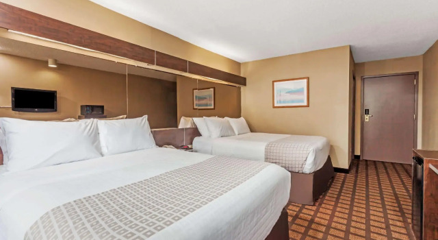 Четырёхместный номер Standard Microtel Inn by Wyndham Lexington