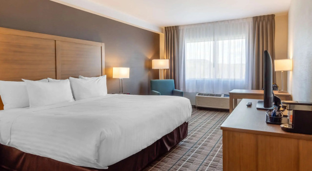 Двухместный номер Standard Quality Hotel