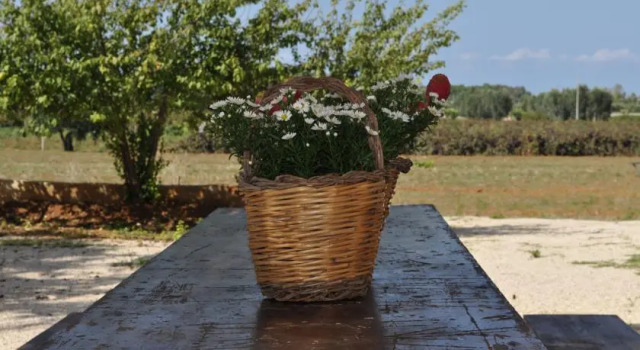 Agriturismo Tenuta Muzio, Book Hotel Hoteller i Sannicola med parkering, Parkering