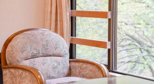 Номер Standard с видом на горы Shirahone Onsen Tsuruya Ryokan