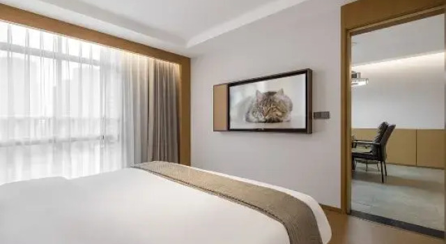 Suite Deluxe Junyi Hotel