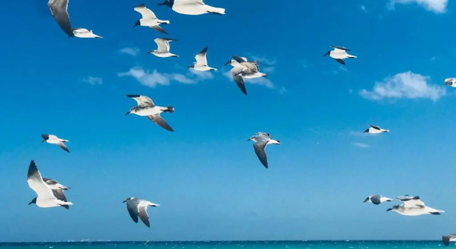 Вилла New Year Available 3BR 200Mbps Wifi & Bikes & Beach Access