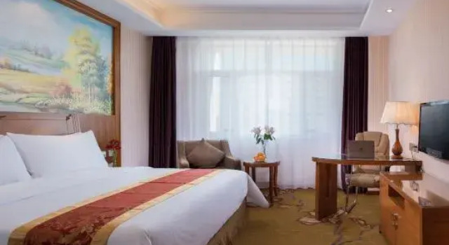 Люкс Superior Vienna International Hotel (Tongliao Kerqin)