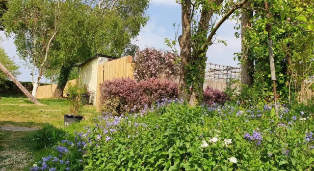 Moorview House, Reserva ahora Bed & breakfast Bideford Devon