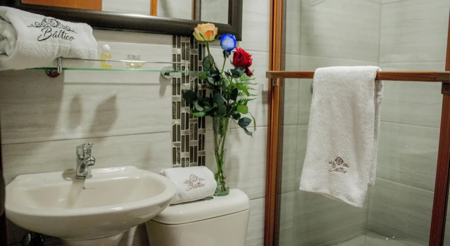 Executive- værelse Hotel Báltico