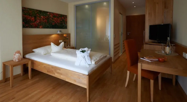 Одноместный номер Standard с балконом Bio Thermalhotel Falkenhof