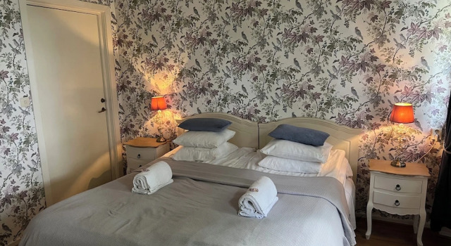 Двухместный номер Classic Herrgårds Hotell Gyllene Hästen